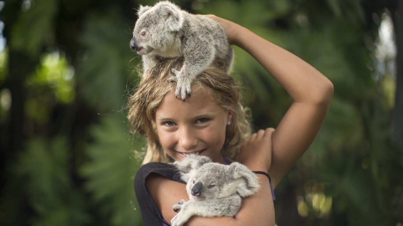 Hrdinové z The Dodo