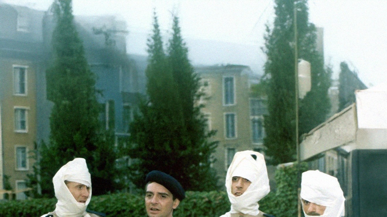 Bažanti jdou do boje