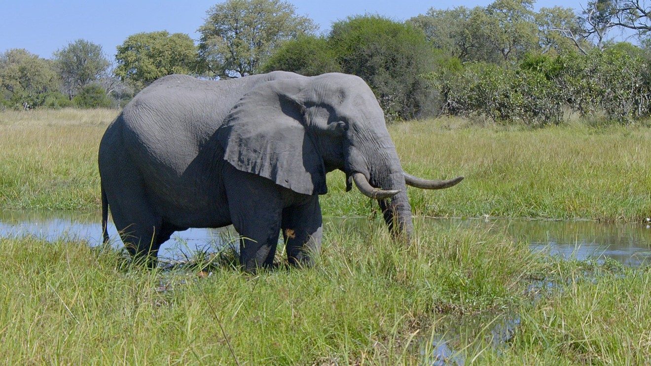 Africký vodní svět