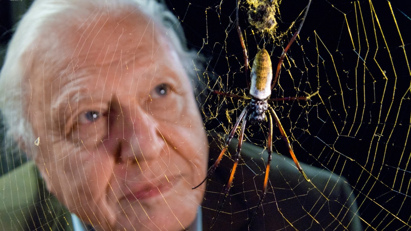 Přírodní kuriozity Davida Attenborougha
