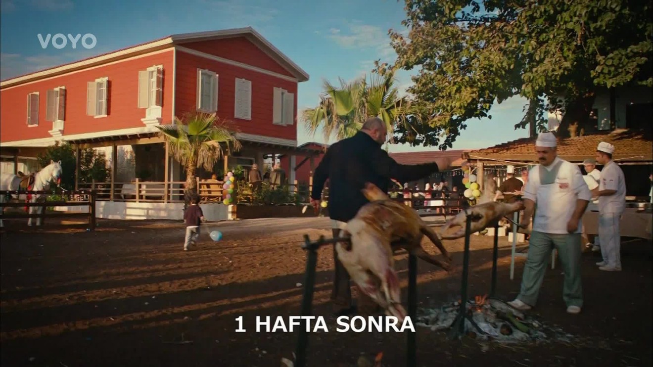 24. díl