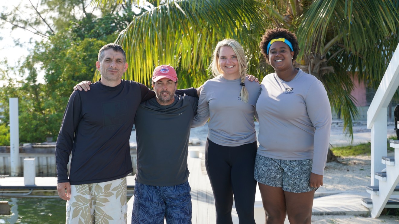 Hledání největšího kladivouna