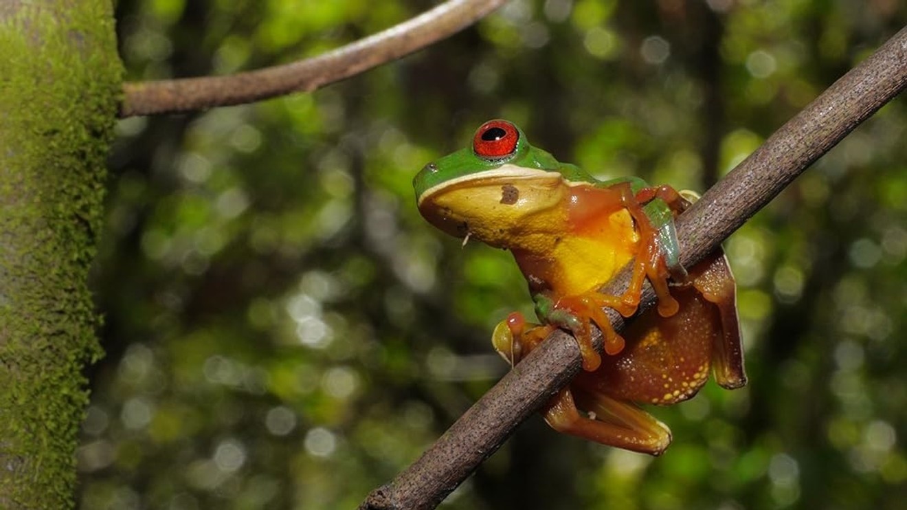 Neobyčejné ekosystémy