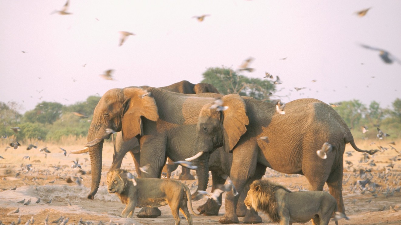 Dokonalí protivníci