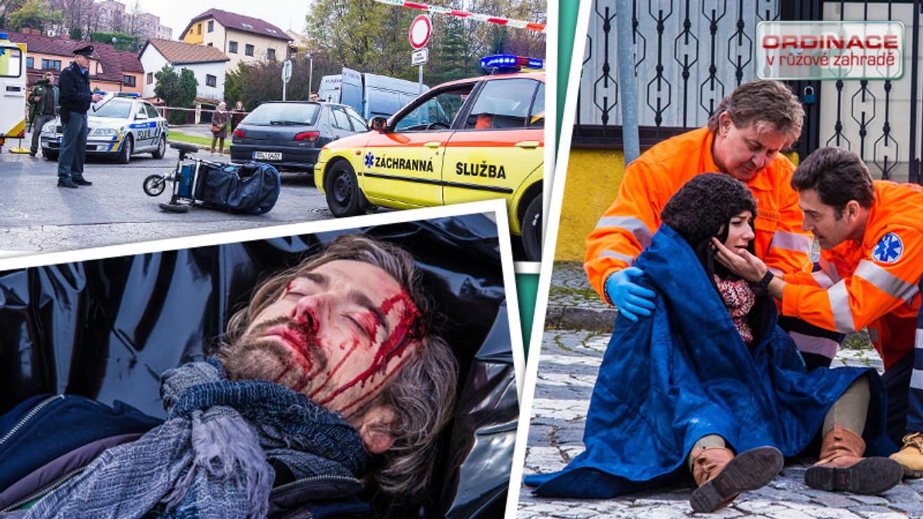 Ordinace v růžové zahradě 2