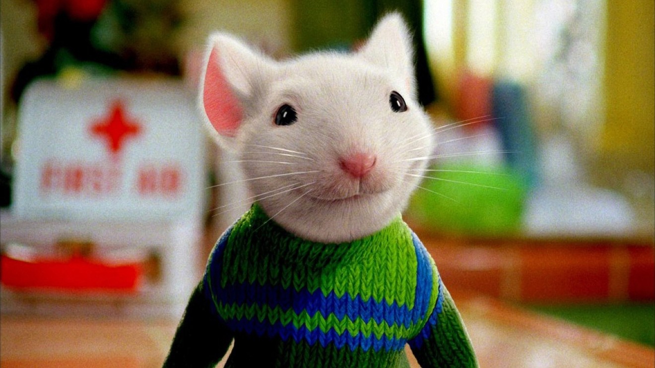 Myšák Stuart Little 2