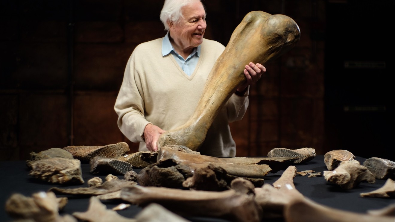 Attenborough a pohřebiště mamutů