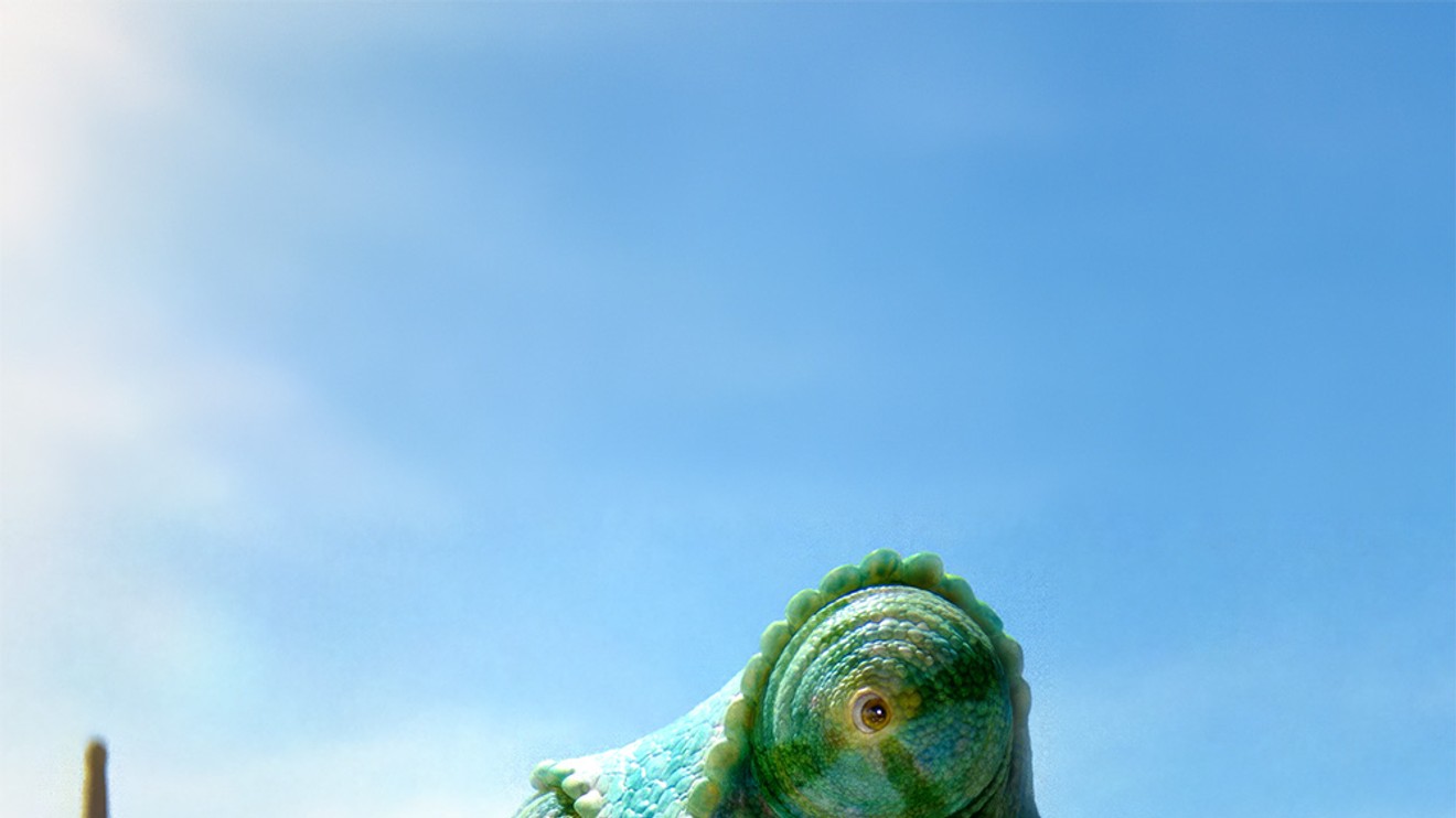Rango