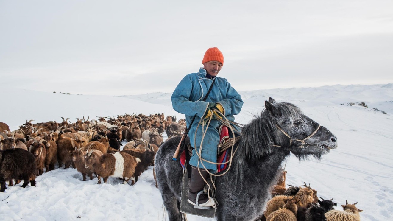 Wild Mongolia: Land of Extremes