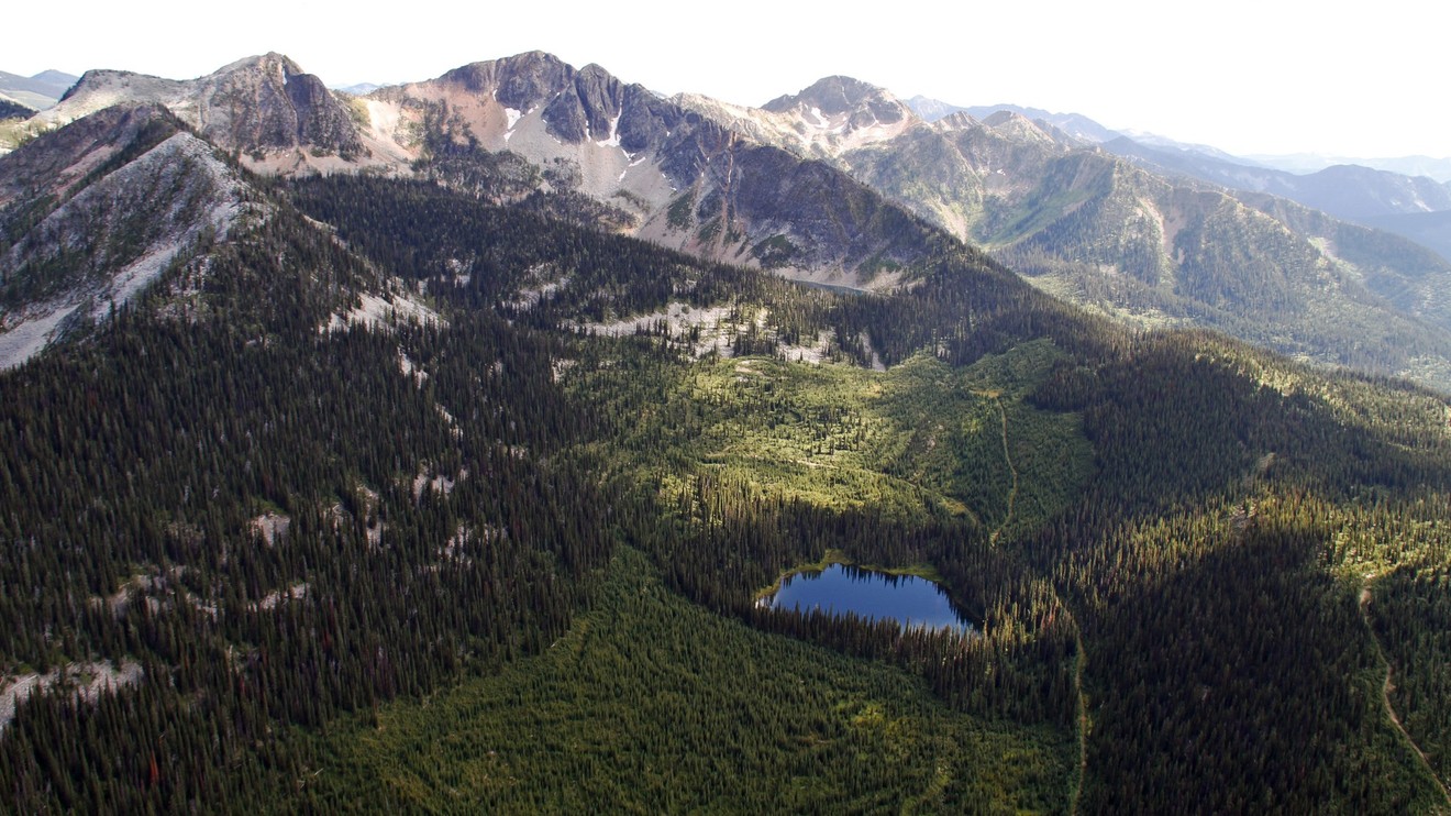 Darkwoods: Perla Britské Kolumbie