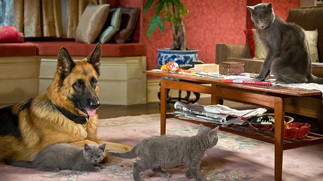 Jako kočky a psi: Pomsta prohnané Kitty