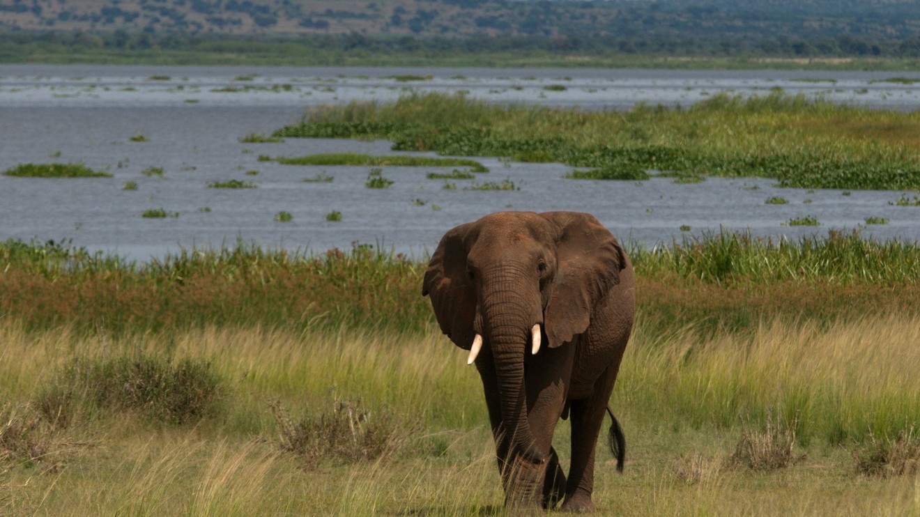 Nile – The ultimate River