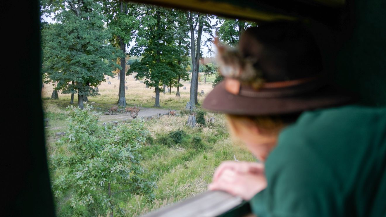 Zpátky do přírody