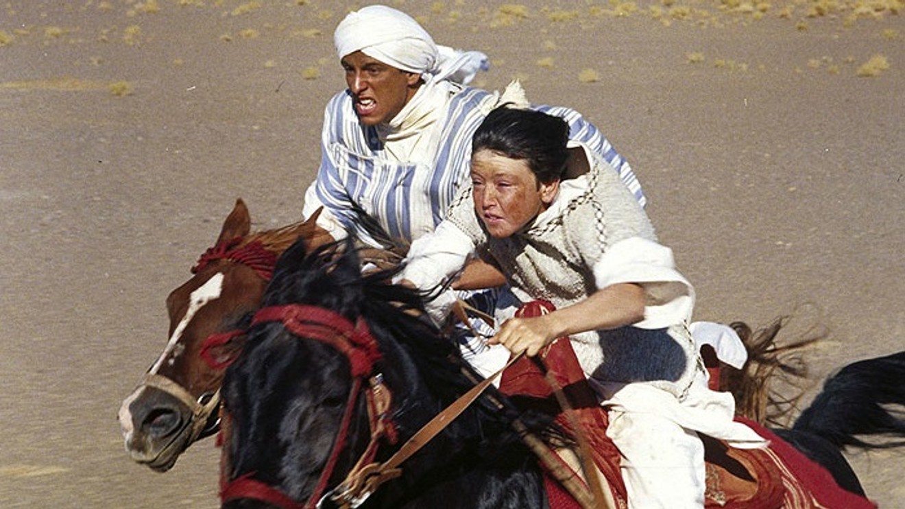 Návrat černého hřebce