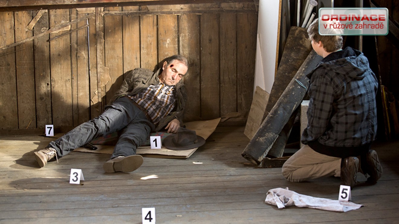 Ordinace v růžové zahradě 2