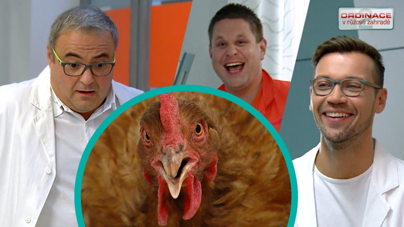 Ordinace v růžové zahradě 2