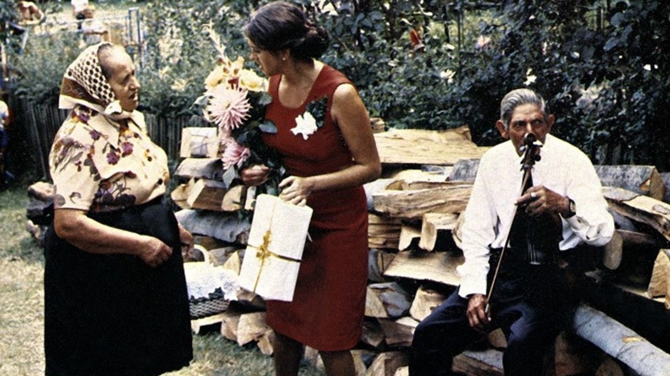 Pásla kone na betóne