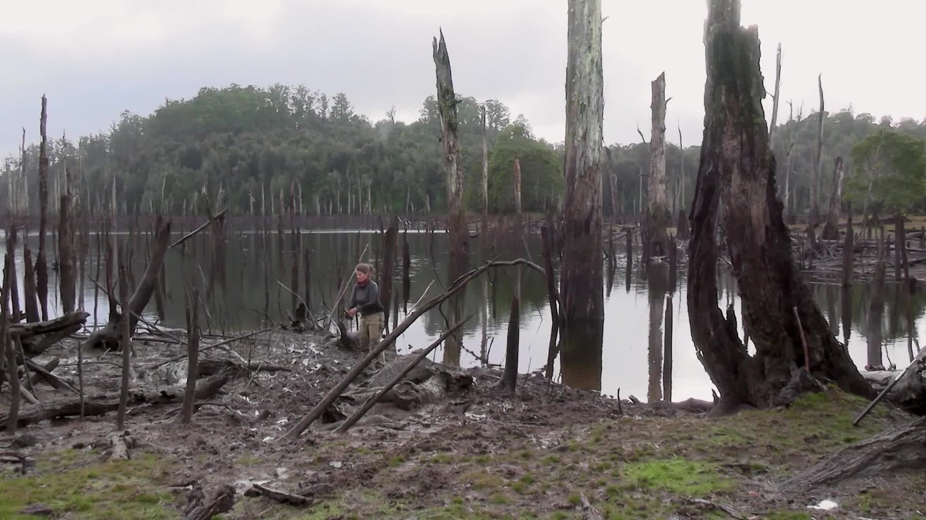 9. díl - Stěhování