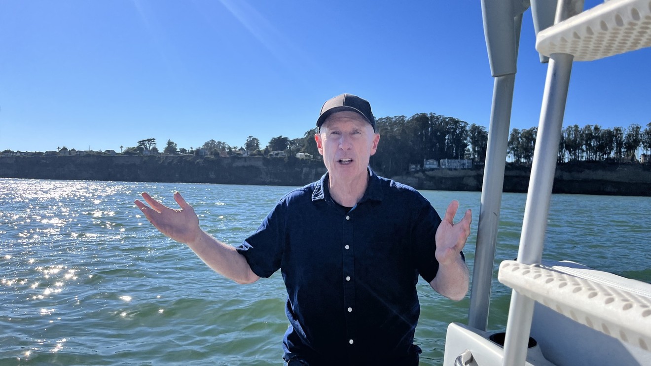 Kdy a proč žraloci útočí