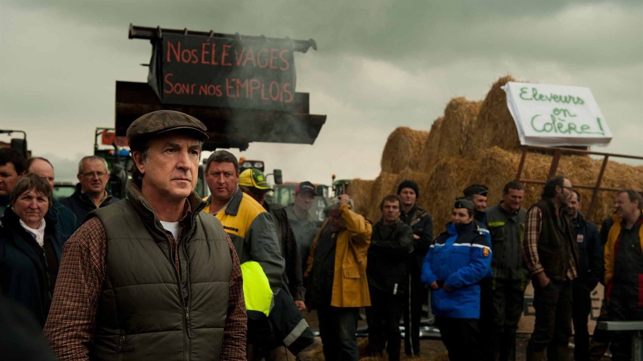 Naháči z Normandie