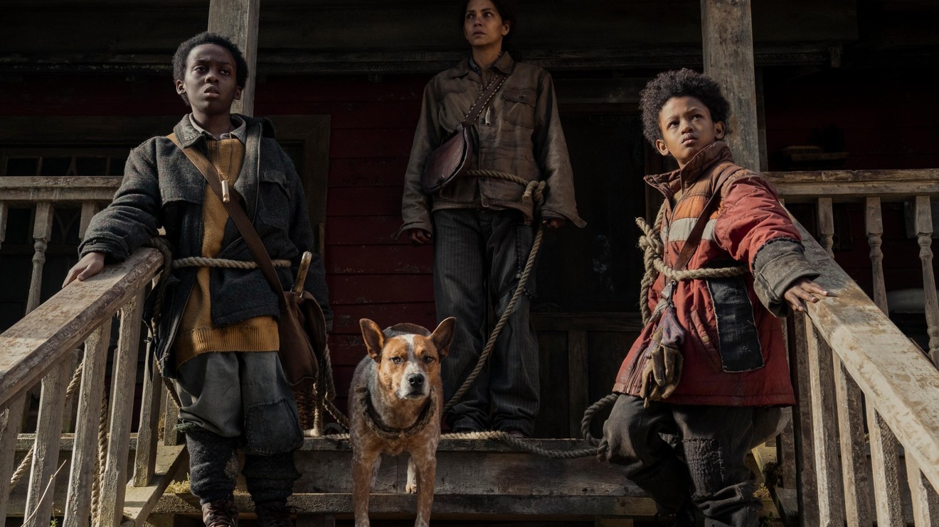 Nikdy se nepouštěj