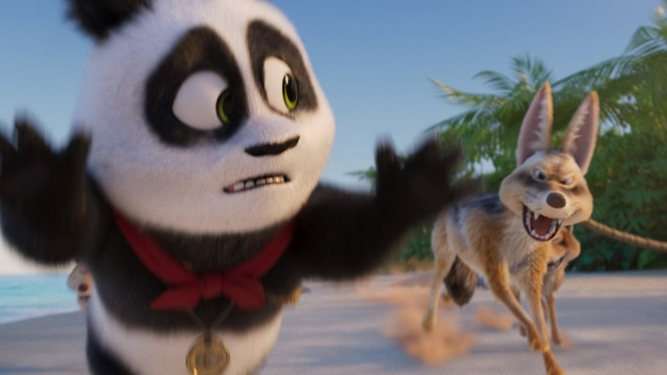 Medvídek panda v Africe