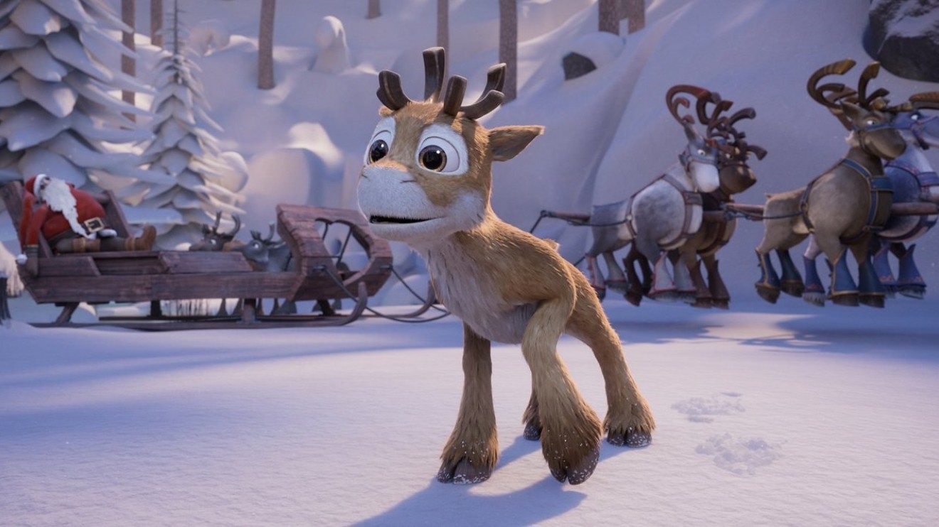 Sobík Niko a cesta za polární září