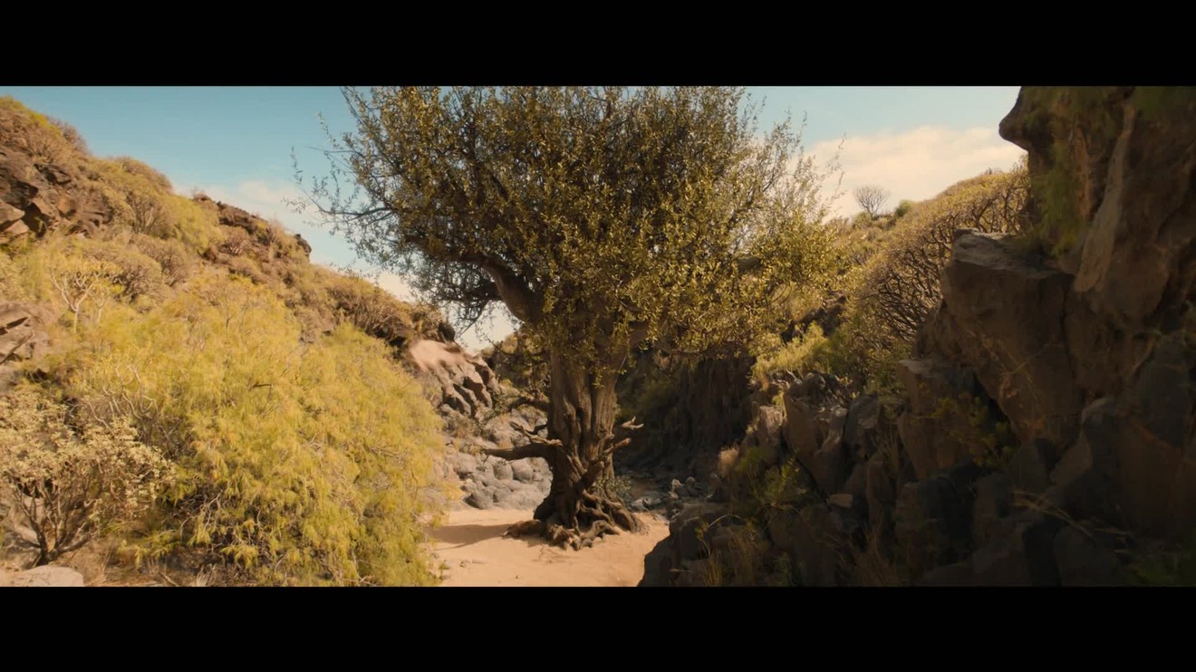 4. díl - Nejstarší