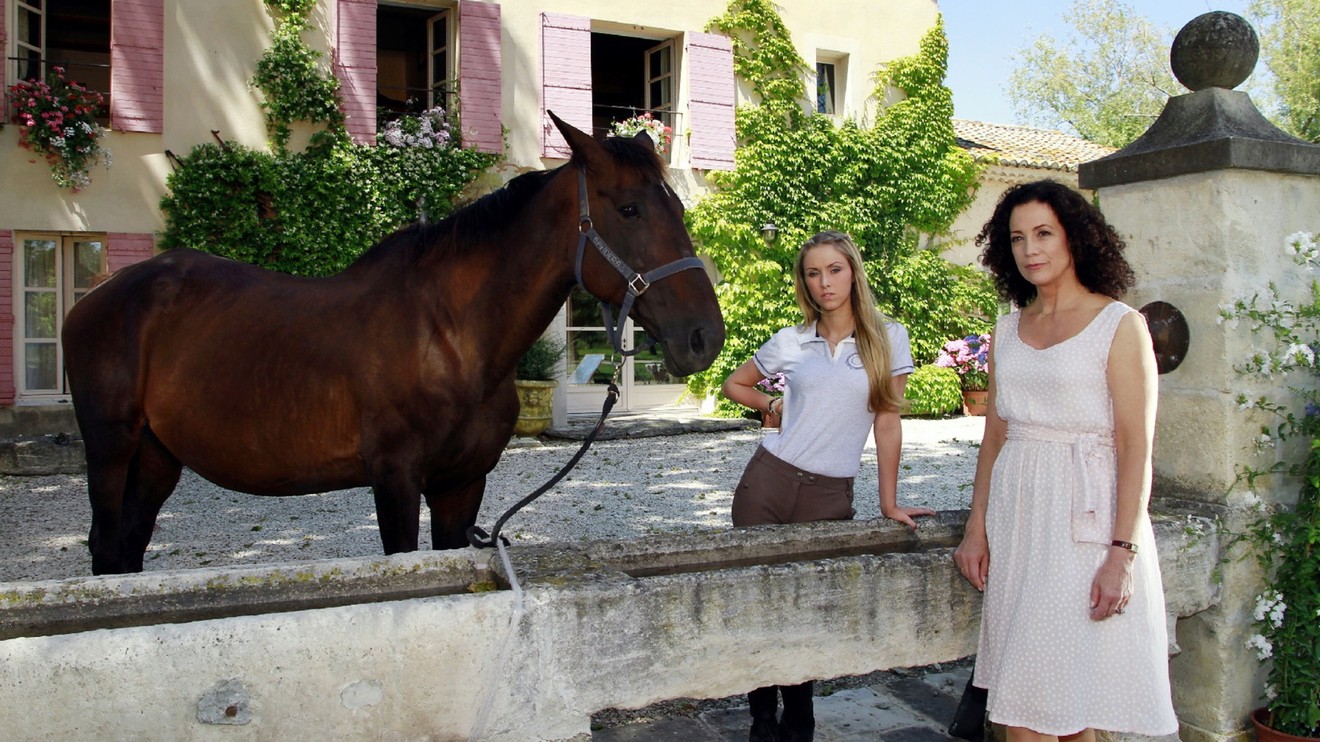 Plavba snů: Provence