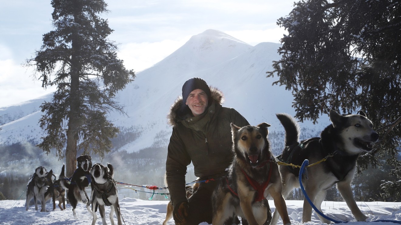 Sněžní psi: Aljašská divočina