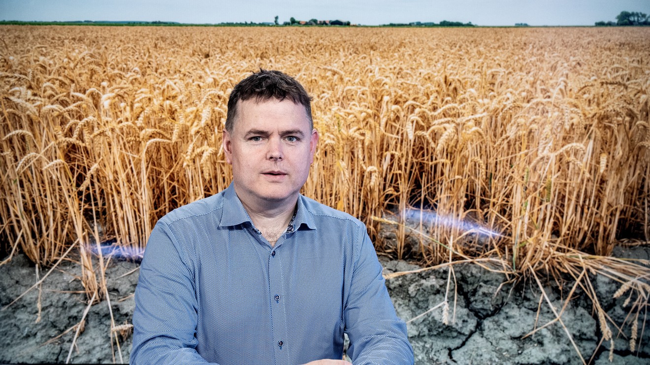 Rozstřel