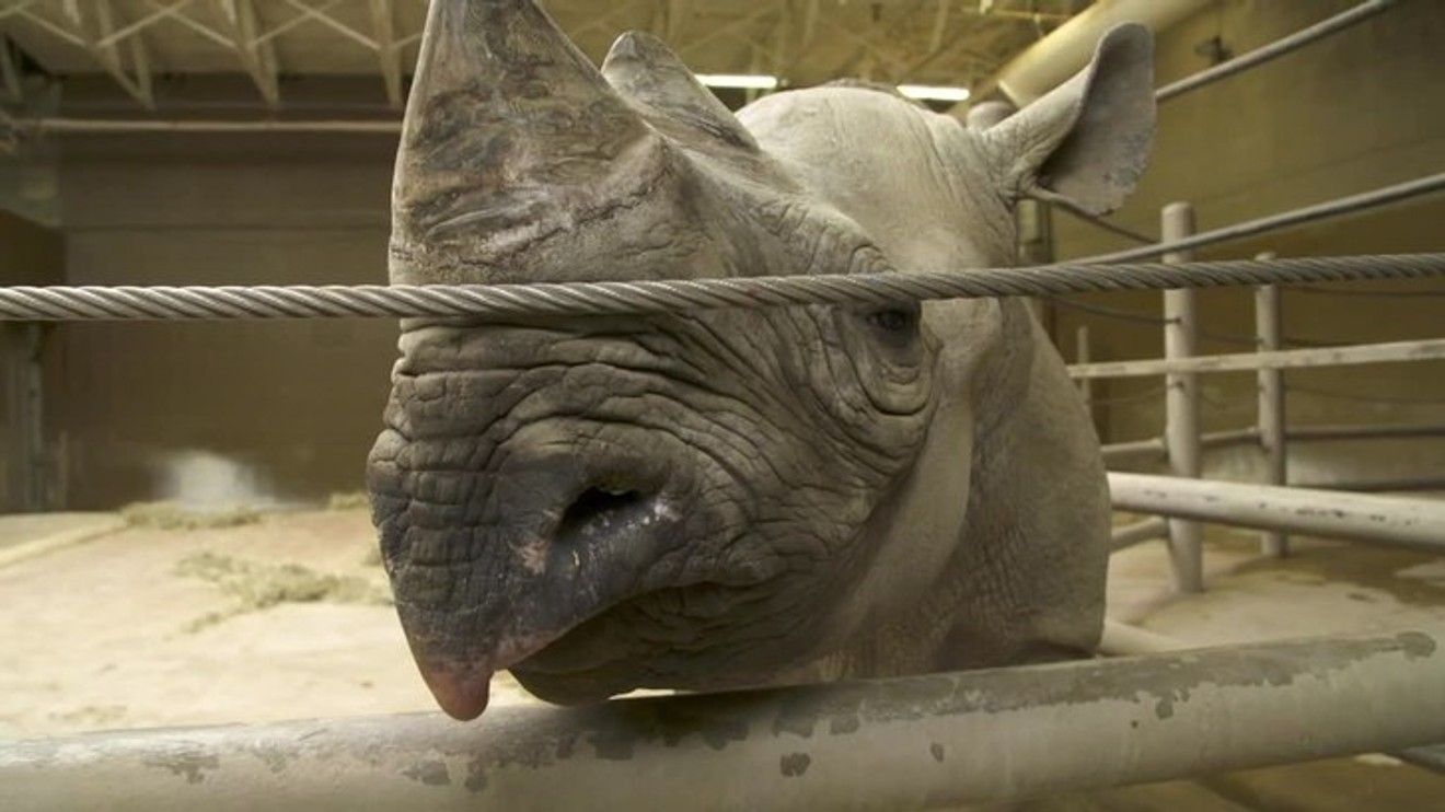 Tajemství ZOO