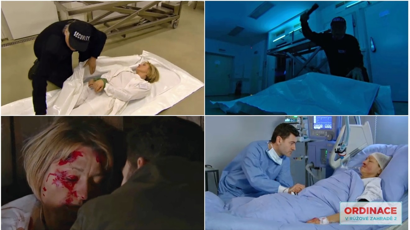 Ordinace v růžové zahradě 2