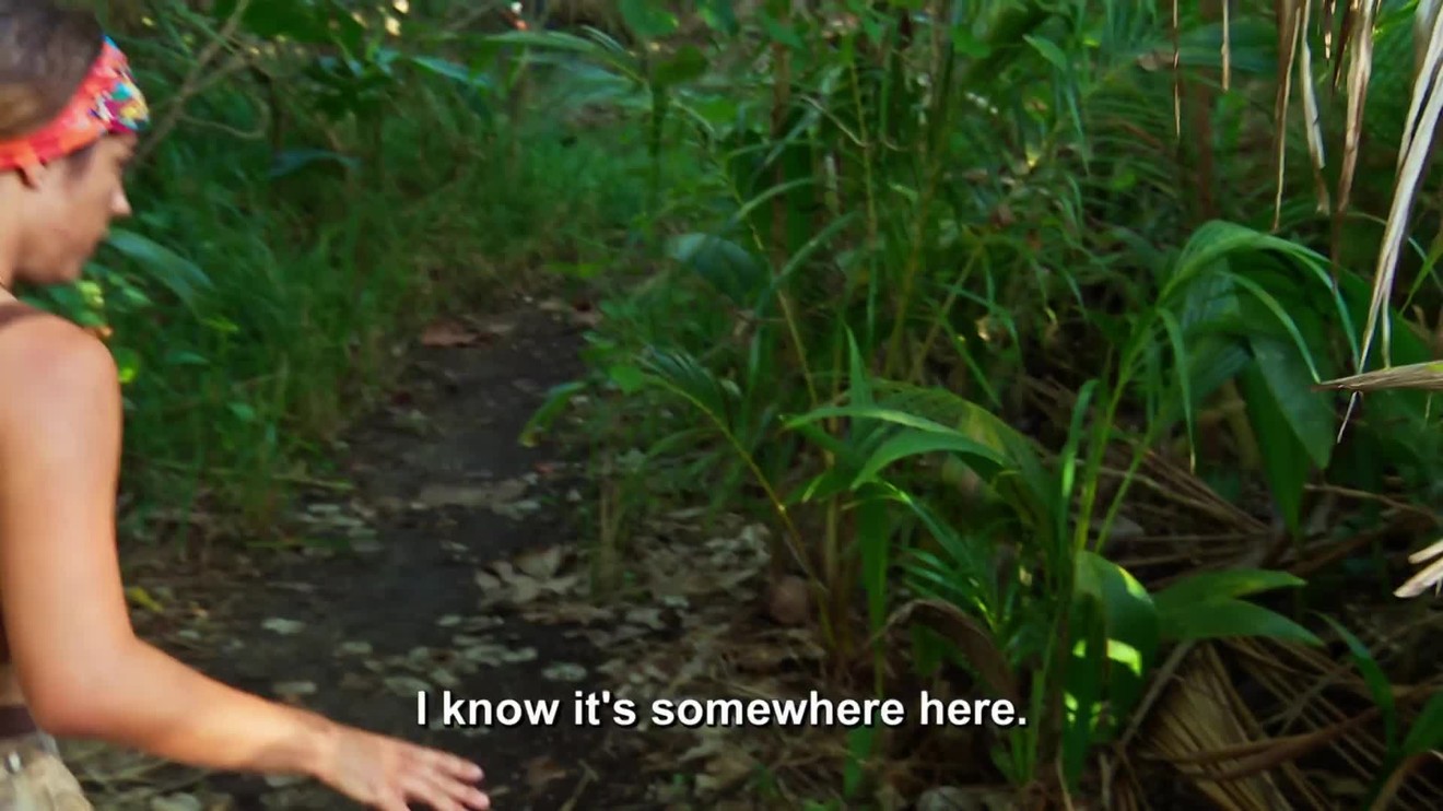 Survivor USA