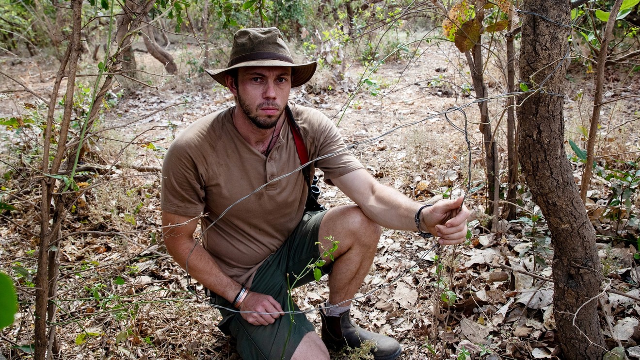 Wild Dogs: Running With The Pack