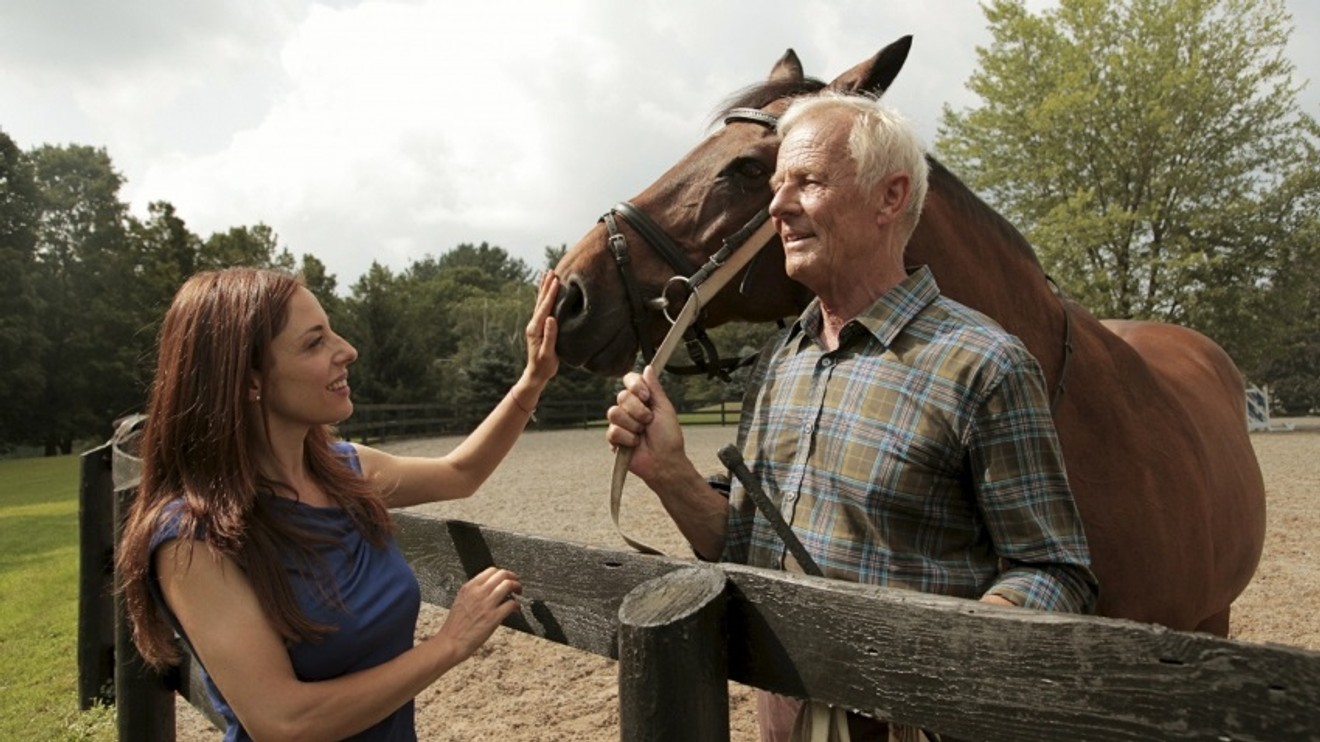Katie Fforde: Léčitelka koní