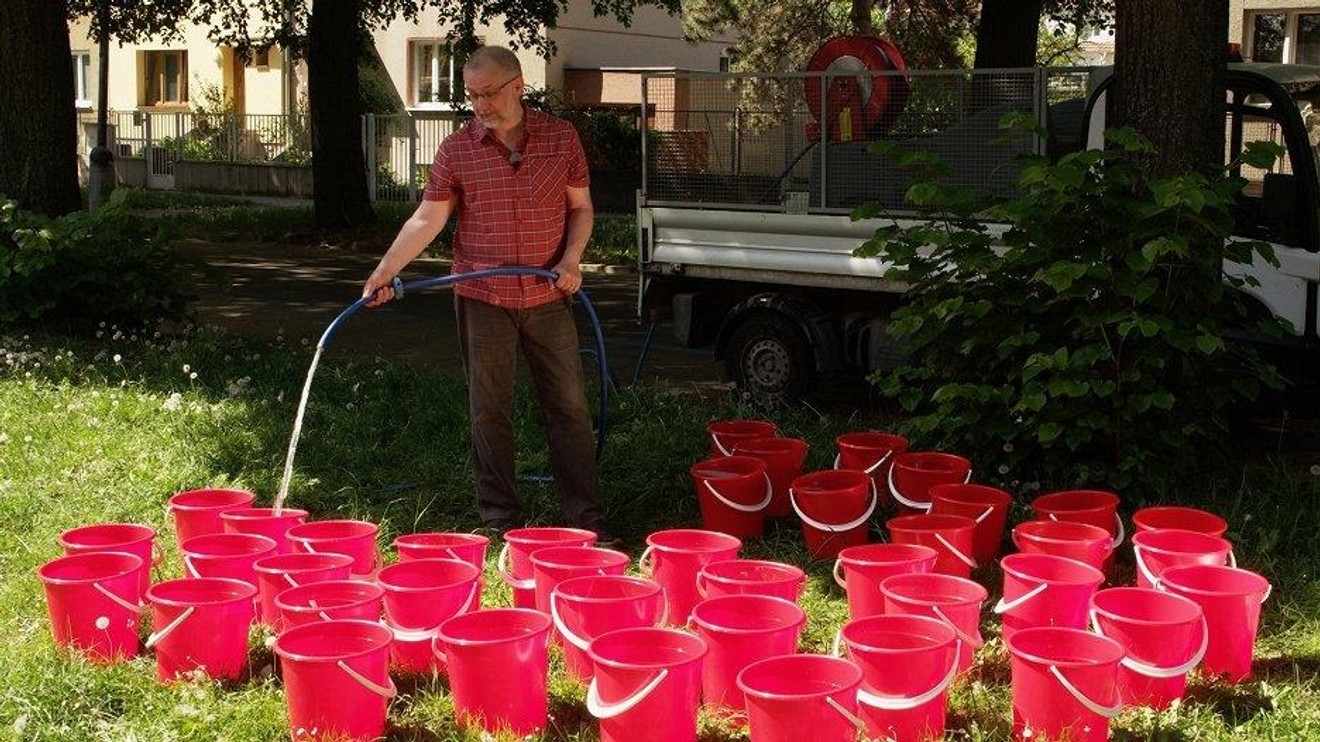 Zasaďme se o stromy