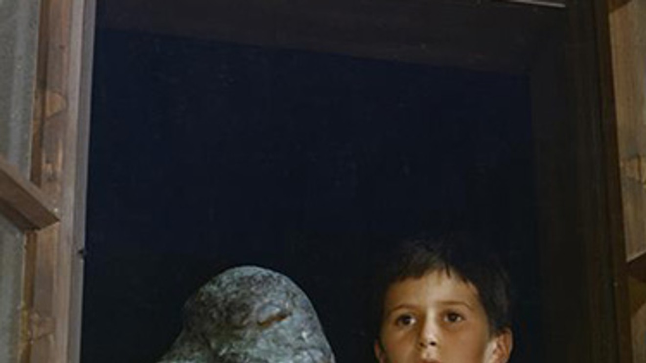 Strašidla z Vikýře