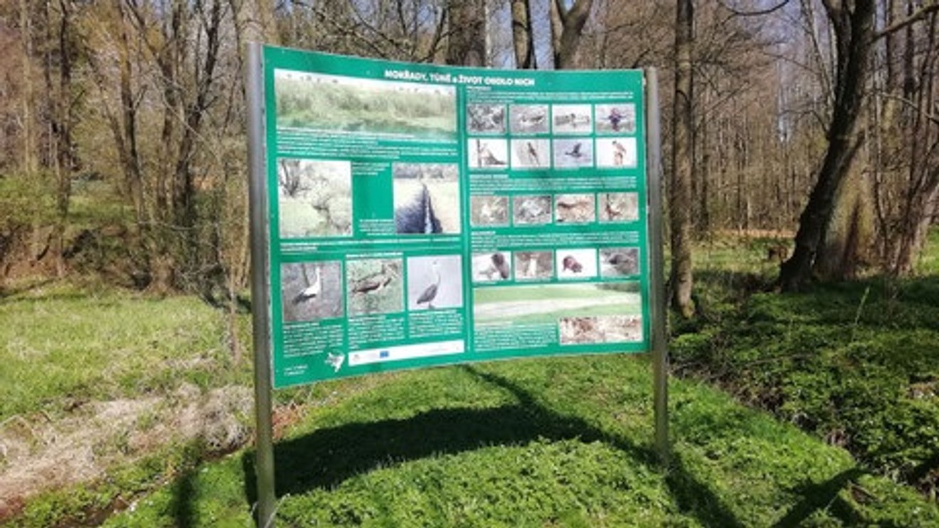 Česko a Evropa řeší klima