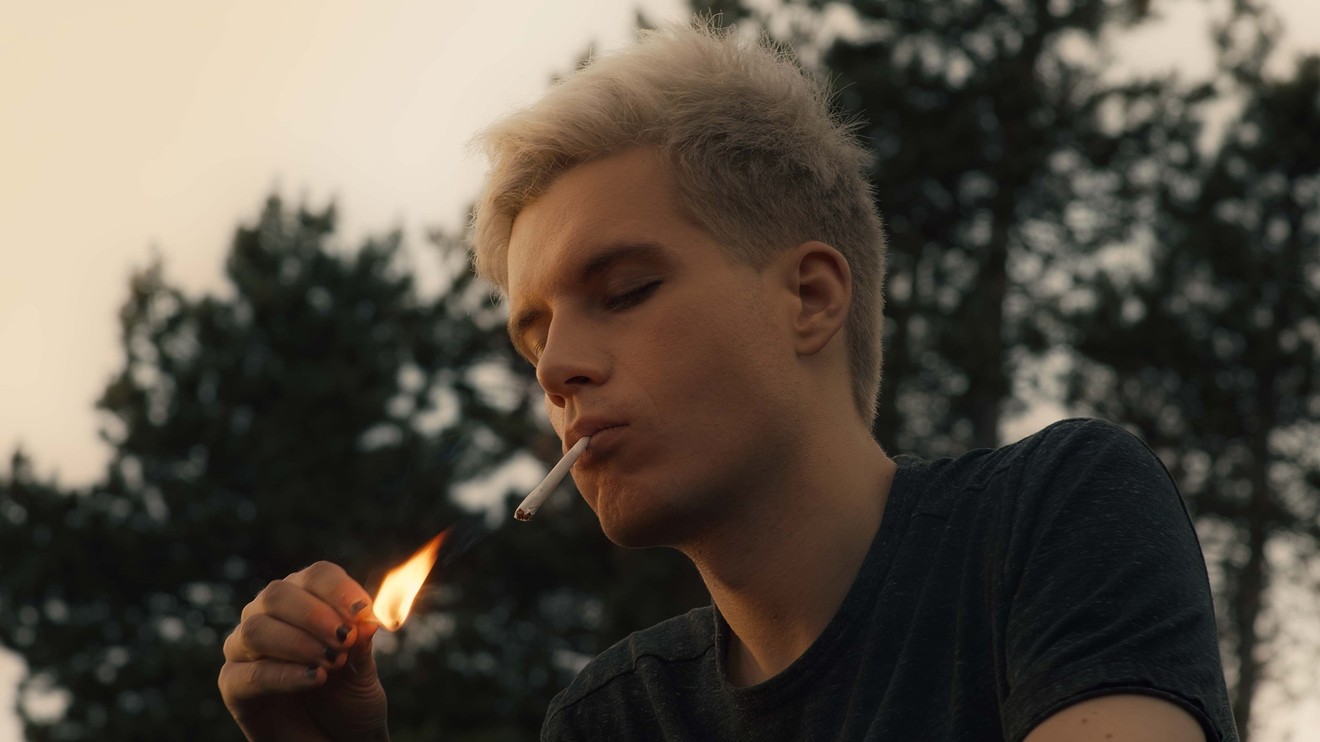 Kam motýli nelétají