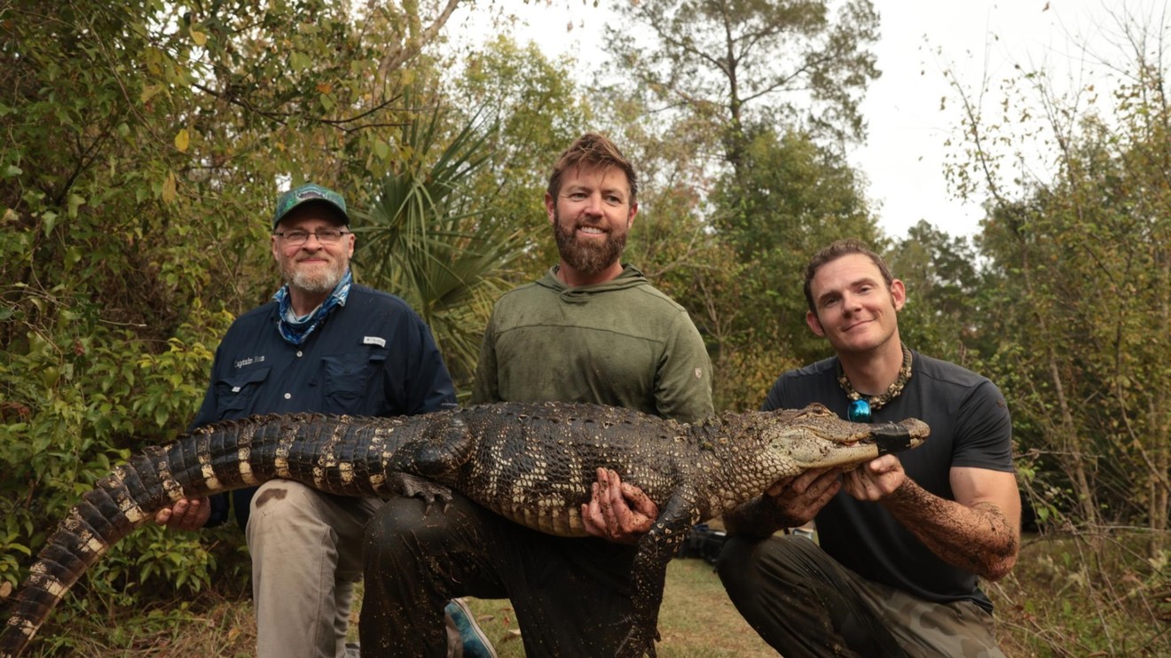 Zvířata na drogách