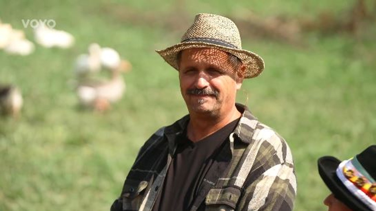 Farma (SK)
