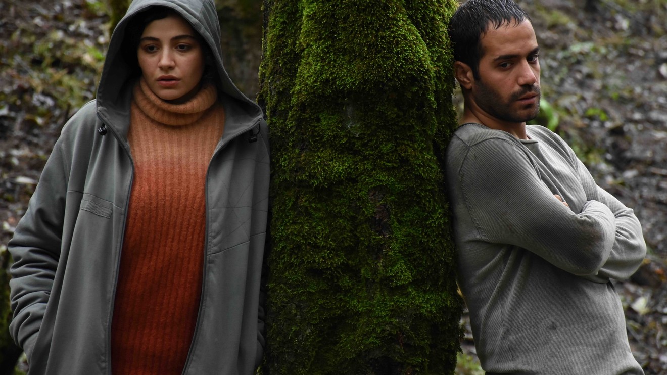 Není zla mezi námi