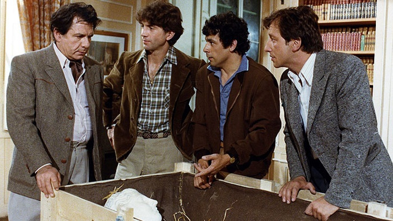 Stepující stonožka