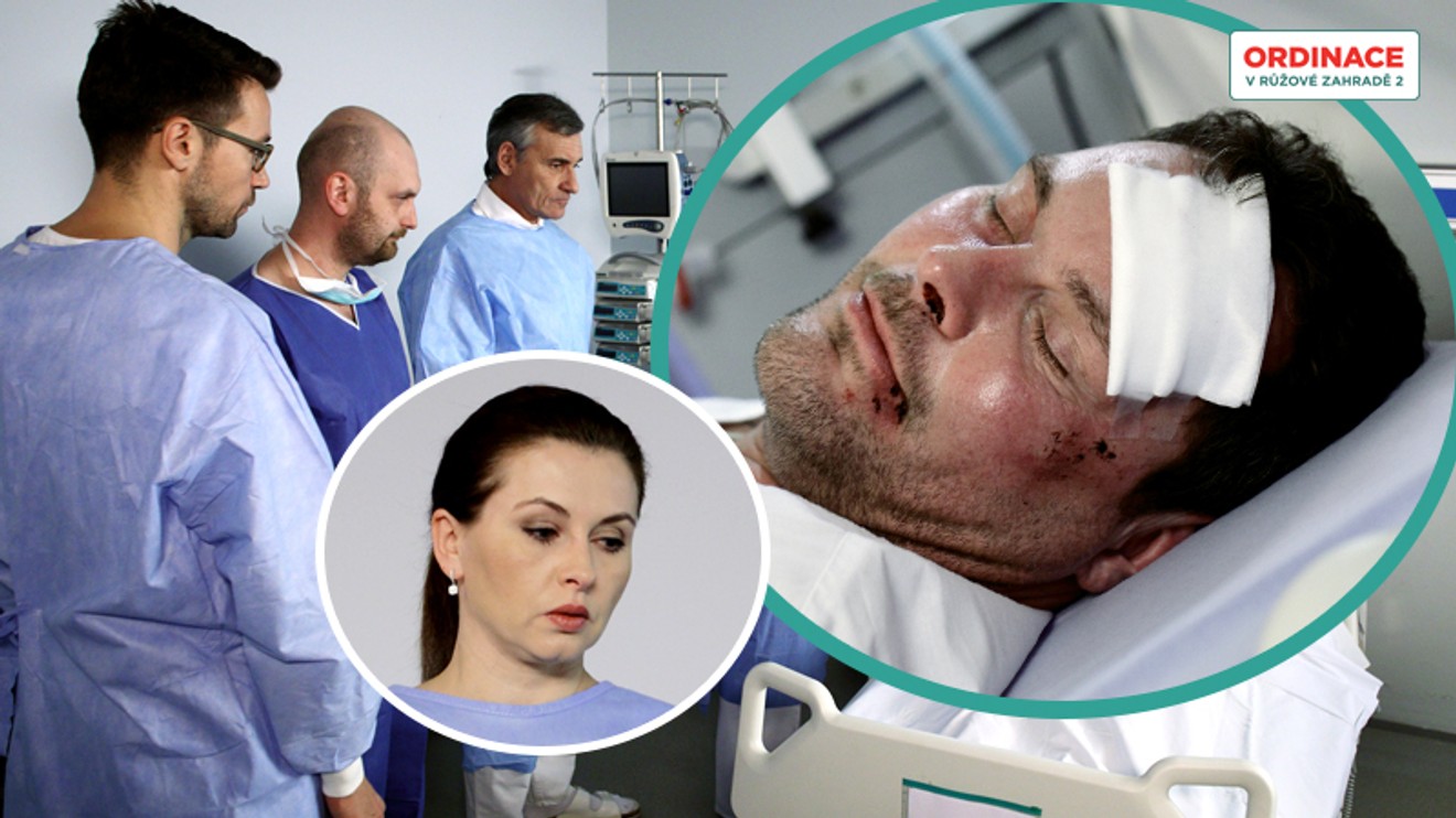 Ordinace v růžové zahradě 2