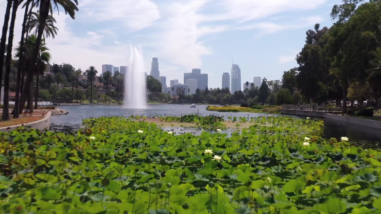 10. díl - Narozeniny a špatné zprávy