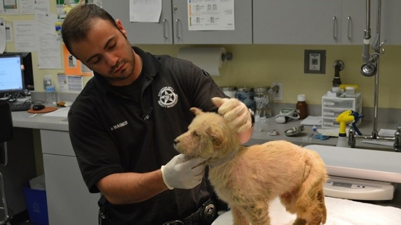 Veterinární policie: Houston