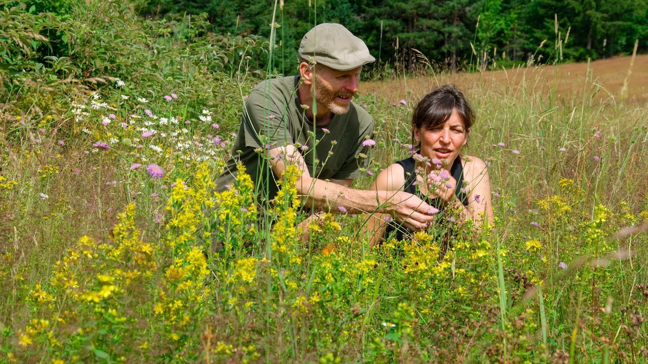 Norsko: Volání divočiny