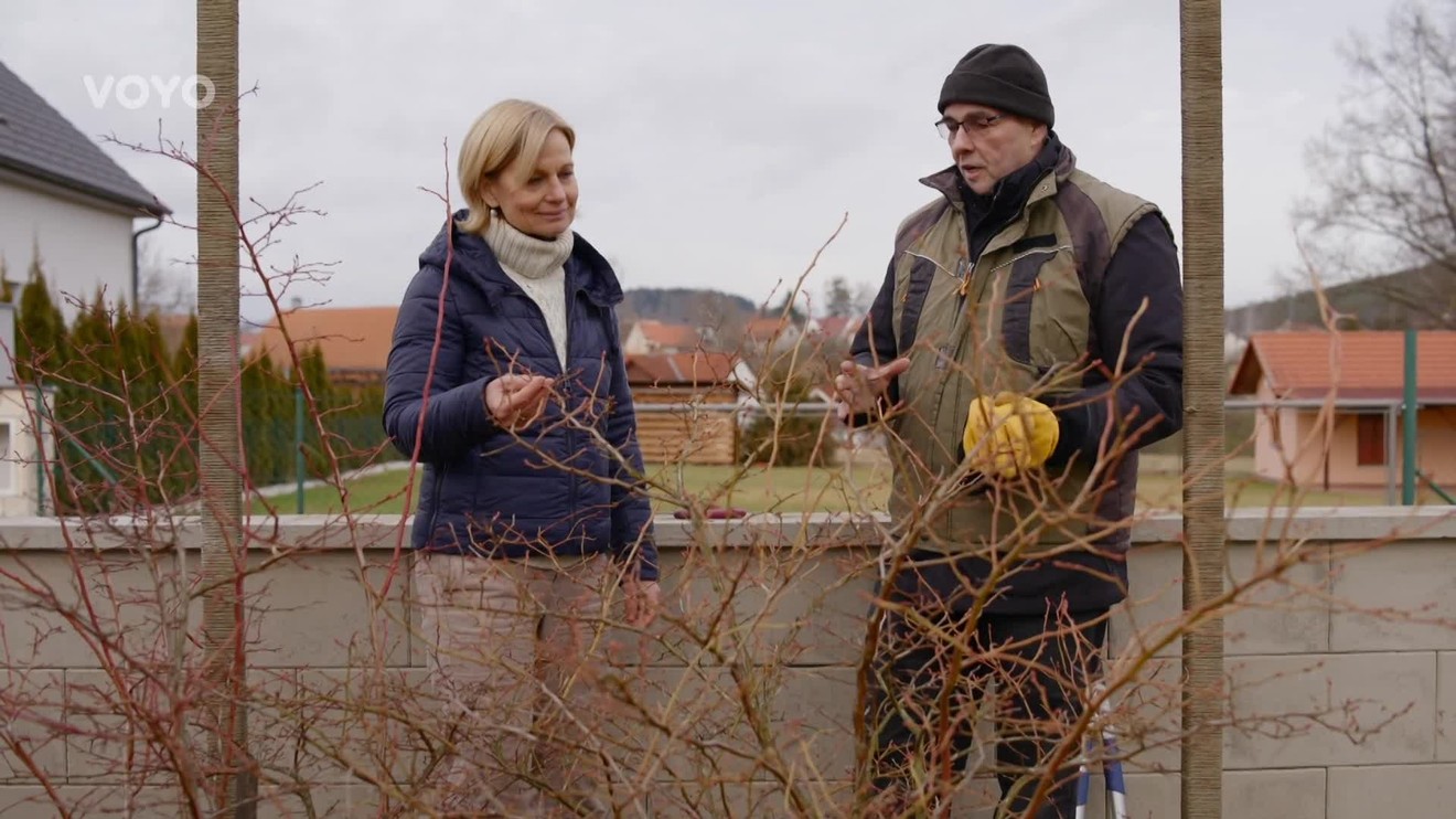 13. díl - Čičoretka