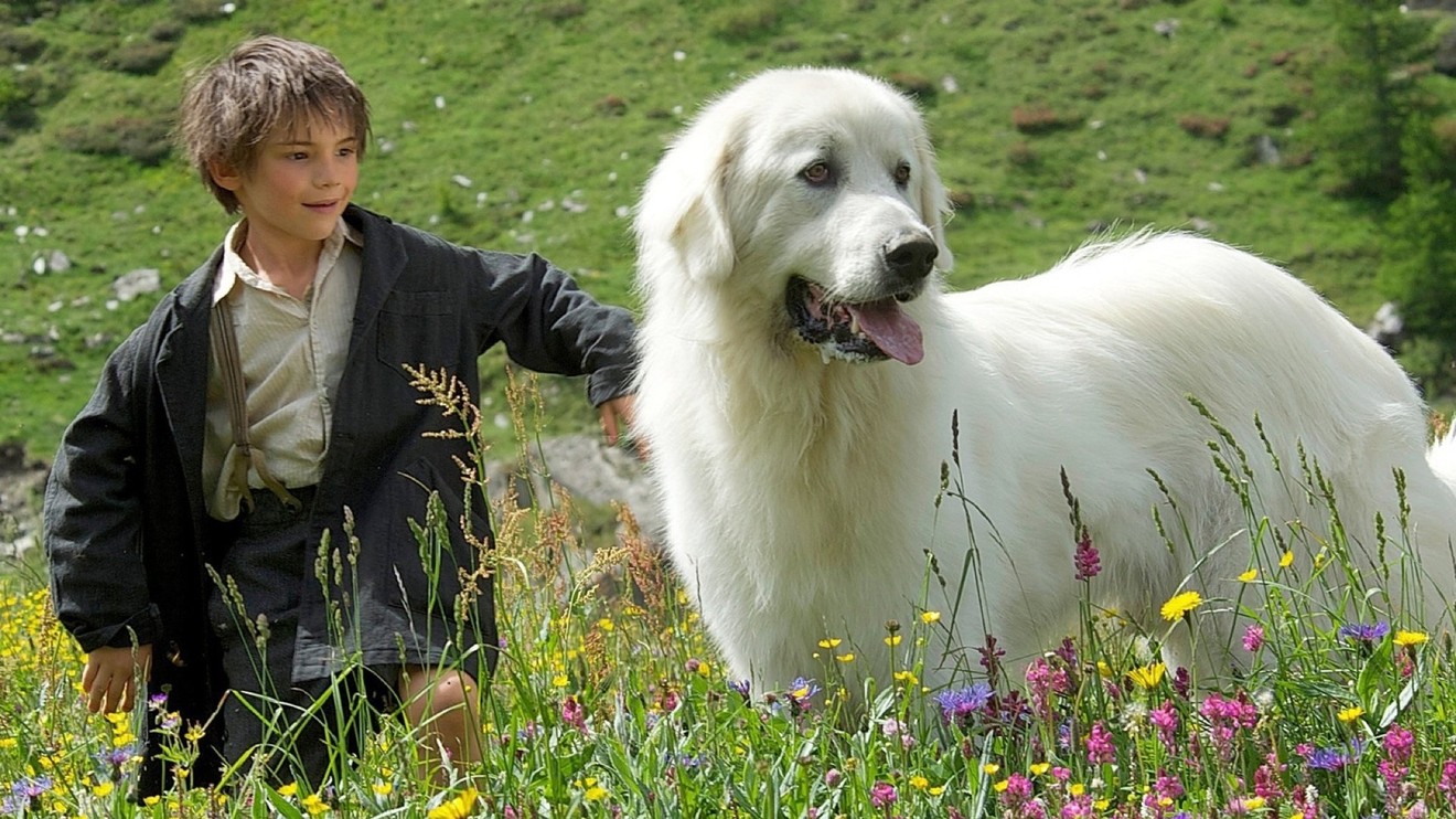 Bella a Sebastián